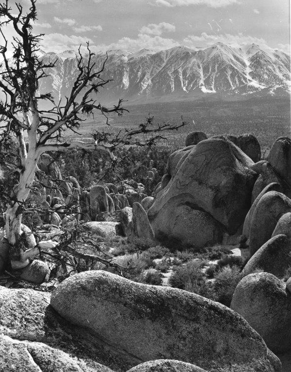 Sierra Nevada by John L. Von Blon